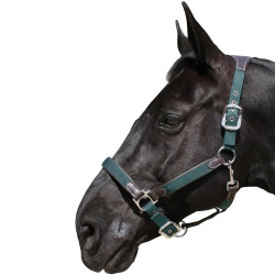 Cabresto Flags & Cup nylon/couro Castanho / verde-oliva