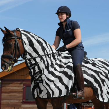 Capa anti-moscas Zebra Bucas Buzz-Off Riding