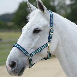 Caveção Bucas Dublin Riscada / azul-marinho Multicolor Caveção Bucas Dublin Riscada / azul-marinho Multicolor