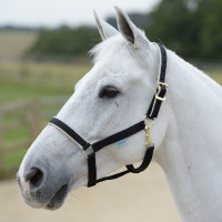 Caveção Bucas Dublin Preto / prata Caveção Bucas Dublin Preto / prata