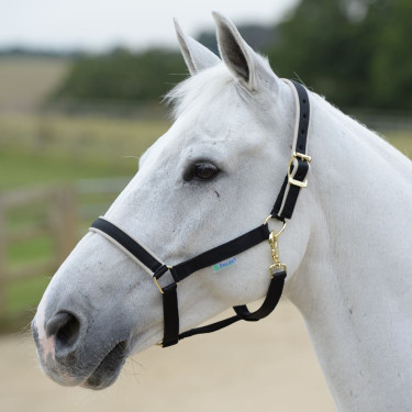 Caveção Bucas Dublin Preto / prata Caveção Bucas Dublin Preto / prata