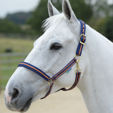 Caveção Bucas Dublin Azul-marinho / laranja Caveção Bucas Dublin Azul-marinho / laranja