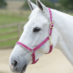 Caveção Bucas Dublin Rosa / prata Caveção Bucas Dublin Rosa / prata