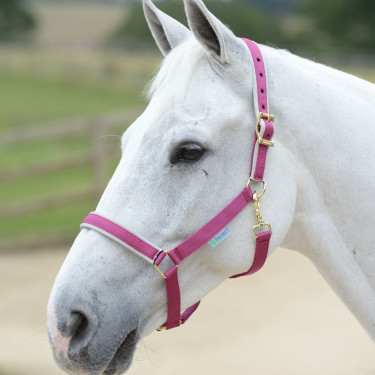 Caveção Bucas Dublin Rosa / prata Caveção Bucas Dublin Rosa / prata