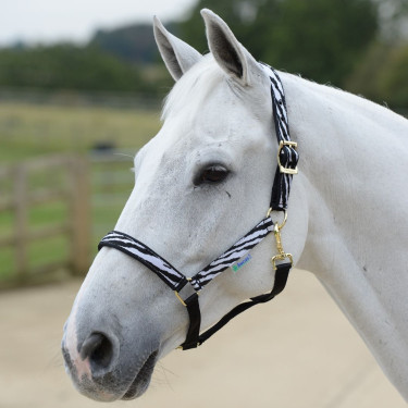 Caveção Bucas Dublin Zebra / preto Motivos Caveção Bucas Dublin Zebra / preto Motivos