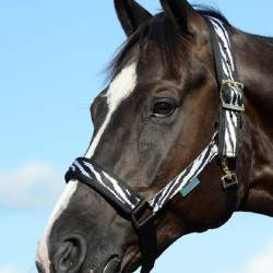 Cabresto Bucas Comfort Zebra