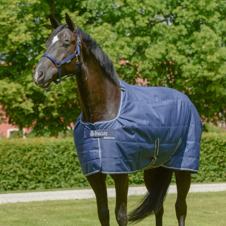 Cobertura de estábulo Bucas Quilt 150g Stay-Dry