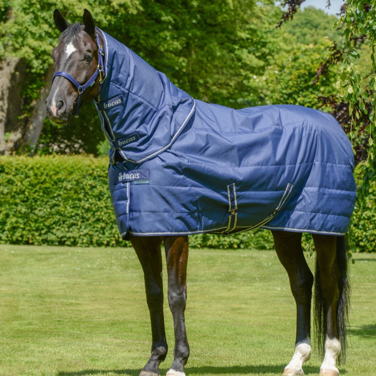 Cobertura de estábulo Bucas Quilt 150g Stay-Dry Cobertura de estábulo Bucas Quilt 150g Stay-Dry