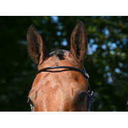 Frontal Jump'In verniz redondo Havana Castanho Frontal Jump'In verniz redondo Havana Castanho