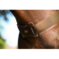 Bricole elástica Jump'In Havana Castanho