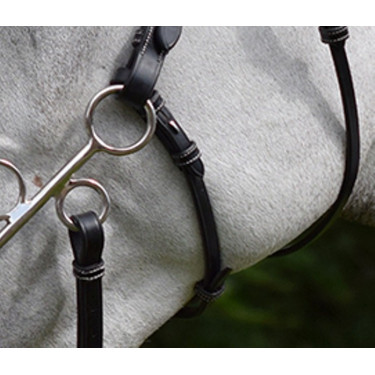Montantes e correia para hackamore Jump'In week Montantes e correia para hackamore Jump'In week