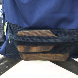 Saco de estábulo Kentucky Azul-marinho