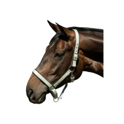 Cabresto Breakaway 2 HKM Jade Azul