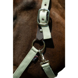 Cabresto Breakaway 2 HKM Jade Azul