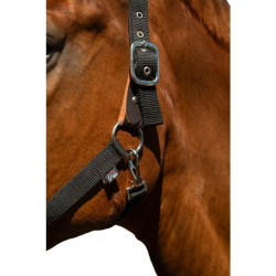 Cabresto Breakaway 2 HKM Preto