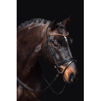 Bridão Rosegold Glamour Style HKM Preto / dourado rosa