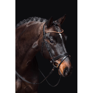 Bridão Rosegold Glamour Style HKM Preto / dourado rosa