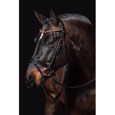 Bridão Rosegold Glamour Style HKM Preto / dourado rosa