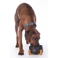 Tigela para cão Buddy cerâmica HKM Preto Tigela para cão Buddy cerâmica HKM Preto