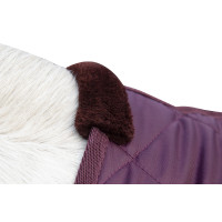 Cobertura de boxe Winter HKM Vermelho escuro