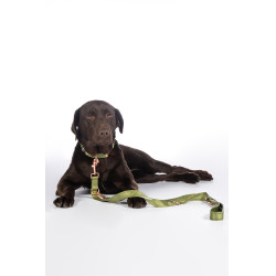 Trela de treino para cães Qooper nylon HKM Pistache Verde