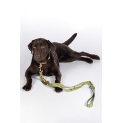 Trela de treino para cães Qooper nylon HKM Pistache Verde