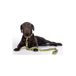 Trela de treino para cães Qooper nylon HKM Pistache Verde