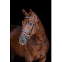 Bridon Lou HKM Castanho