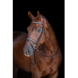 Bridon Lou HKM Castanho