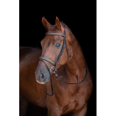 Bridon Lou HKM Castanho