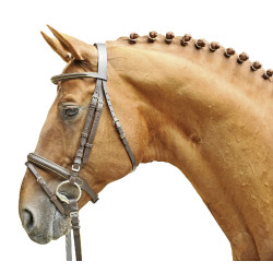 Bridon Lou HKM Castanho