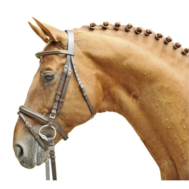 Bridon Lou HKM Castanho