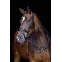 Bridon Melinda HKM Preto