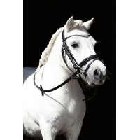 Bridon Shetty Diamond HKM Preto