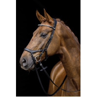 Bridon Pro Anatomic HKM Preto
