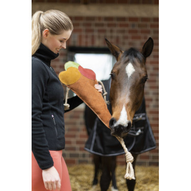 Brinquedo para cavalos Ice cream HKM Laranja Brinquedo para cavalos Ice cream HKM Laranja