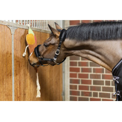 Brinquedo para cavalos Ice cream HKM Laranja Brinquedo para cavalos Ice cream HKM Laranja