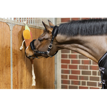 Brinquedo para cavalos Ice cream HKM Laranja Brinquedo para cavalos Ice cream HKM Laranja