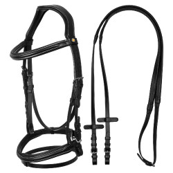 Bridão anatômico elevado e acolchoado Equestro