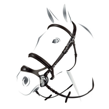 Bridão combinado Equestro