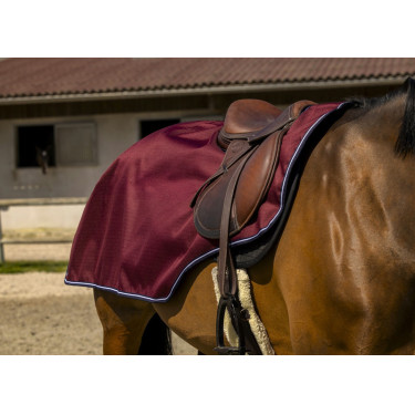 Cobre-rins Equithème Tyrex 1200D Polar Cobre-rins Equithème Tyrex 1200D Polar