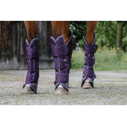Guéstras de transporte Equithème Tyrex 600D Ameixa Violeta