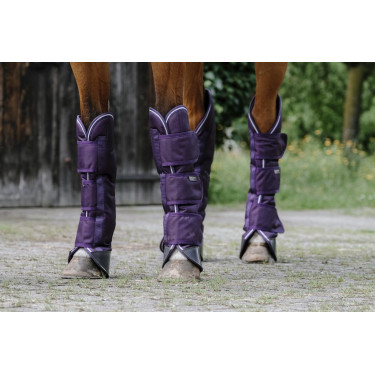 Guéstras de transporte Equithème Tyrex 600D Ameixa Violeta