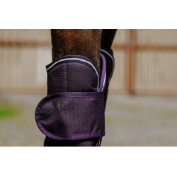 Guéstras de transporte Equithème Tyrex 600D Ameixa Violeta