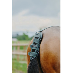 Protetor de cauda Equithème Tyrex 600D Protetor de cauda Equithème Tyrex 600D