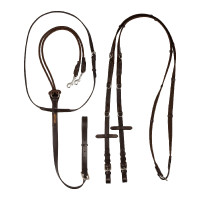 Enrenamento Thiedemann em couro italiano e nylon tubular Acavallo Preto