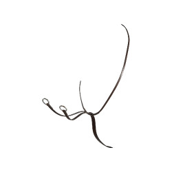 Martingale com colar de couro Equestro Castanho escuro