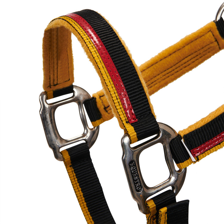 Cabresto de nylon com corda Red Trim Equestro Cabresto de nylon com corda Red Trim Equestro