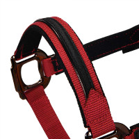 Cabresto de nylon com corda Elegance Equestro Vermelho
