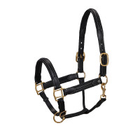 Cabezada de couro superior Equestro Preto